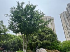 -古南都·老广东酒楼(龙江店)