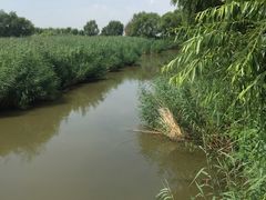 -白渔泡湿地公园