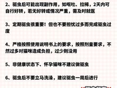 -艾吉宠物医院·疑难杂症转诊中心·猫友好(碧江路院)