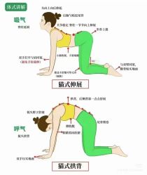 点击看大图 -U+YOGA优伽瑜伽·普拉提