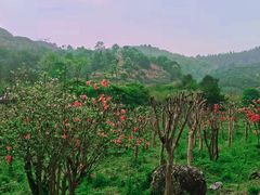 -敬亭山风景名胜区