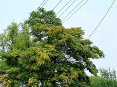 -壳牌加油站(北宫门站)