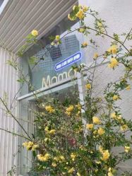 -Mamoo日式美甲美睫