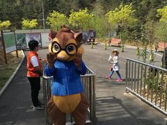 -欢乐松鼠谷
