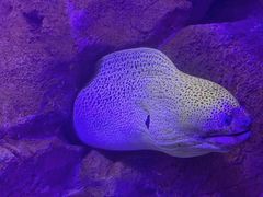 -波塞冬旅游度假区