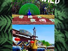 -呀路古热带植物园