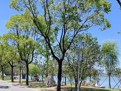-东钱湖小普陀景区
