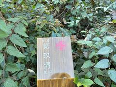 -雨花胜境