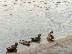 景点-滴水岩森林公园