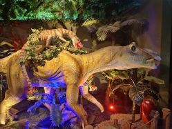 -恐龙探索乐园(磁器口店)