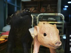 -WHEN PIGS FLY当猪飞