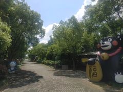 -上海海湾国家森林公园