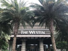 -广交会威斯汀酒店