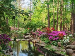 -上海共青森林公园