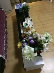 -本真坊美容美体沙龙