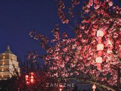 -大雁塔北广场音乐喷泉