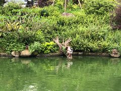 -龙山酒店温泉