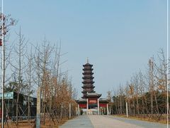 -江苏三台山国家森林公园