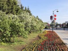 -长春公园(普阳街道)