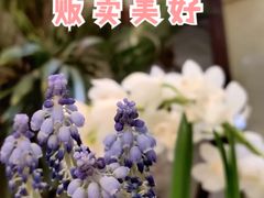 -知物癖(牛王庙店)