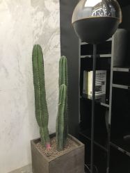 -INSTYLE造型·明星店