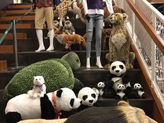 -Behring World of Animals(上海自然博物馆店)