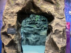 -陕西自然博物馆