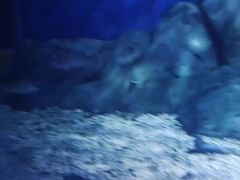 -临沂极地海洋王国