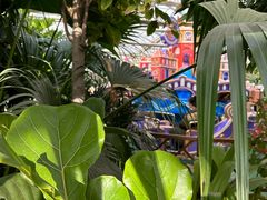 -南宫五洲植物乐园