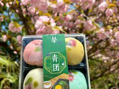 -同济大学(嘉定校区)