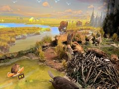 -陕西自然博物馆