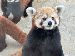 -杭州野生动物世界