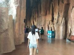 -郑州方特梦幻王国