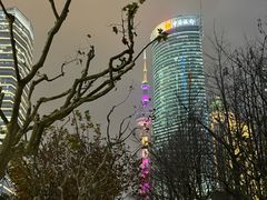 -陆家嘴中心绿地