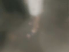 -南美元生态大酒店(海珠店)