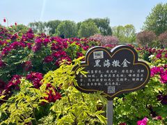 -洛阳市隋唐城遗址植物园