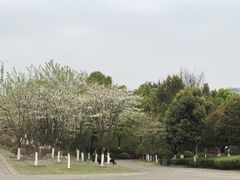 -重庆园博园