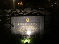 -金凤凰温泉度假村·凤凰汇中餐厅