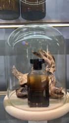 -香遇沙龙香水·调香·团建