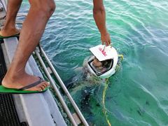 -东姑阿都拉曼海洋公园