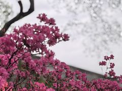 -老门东历史文化街区