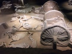 景点-洛阳周王城天子驾六博物馆