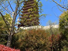 -牛首山文化旅游区