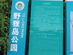 -野狸岛