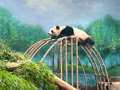 -新丰小吃(复兴南街分店)
