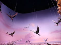 -中国湿地博物馆