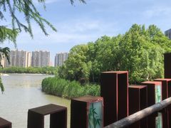 -南翔镇银翔湖公园