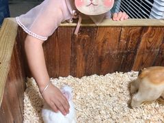 -嘉兴海底世界