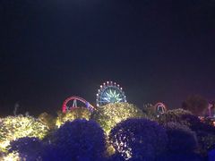 -南京银杏湖乐园