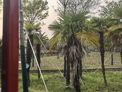 -歌斐颂巧克力小镇